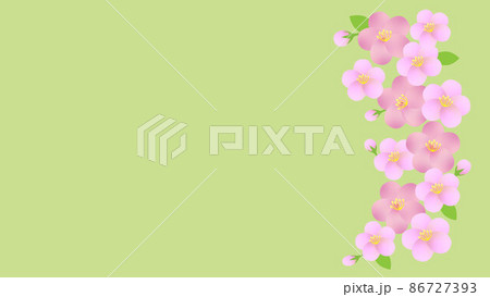 桃の花 ひな祭りイメージ のイラスト素材