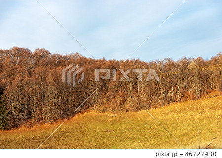 Beautiful Beech Forest and Meadow on Lessinia High Plateau - Verona Italy 86727430