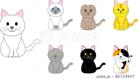 バーマン猫、トラ猫、スコティッシュフォールド、三毛猫、黒ネコ、白猫のコレクション バーマン猫、トラ猫、スコティッシュフォールド、三毛猫、黒ネコ、白猫のコレクション 86729947