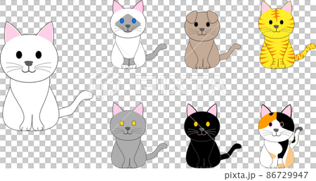 伯曼貓、虎斑貓、蘇格蘭折耳貓、印花布貓、黑貓和白貓的集合 伯曼貓、虎斑貓、蘇格蘭折耳貓、印花布貓、黑貓和白貓的集合 86729947