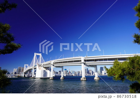 東京臨海副都心　東京湾とレインボーブリッジ 86730518