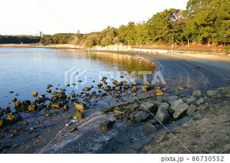 大井埠頭海浜公園　夕やけなぎさ 86730552