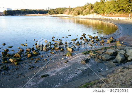 大井埠頭海浜公園　夕やけなぎさ 86730555
