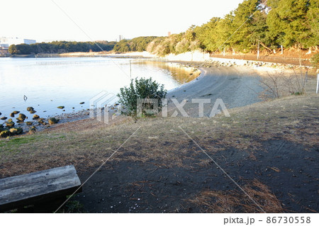 大井埠頭海浜公園 夕やけなぎさ 大井埠頭海浜公園 夕やけなぎさ 86730558
