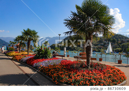 【シュピーツ】トゥーン湖とシュピーツの街並み 【シュピーツ】トゥーン湖とシュピーツの街並み 86730609