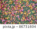 落ち亜の絨毯 86731604