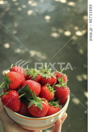 Fresh strawberry in a bowl on hand for breakfast with copy space. 86731689