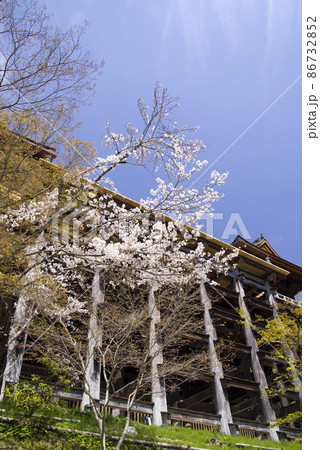 春の舞台 86732852