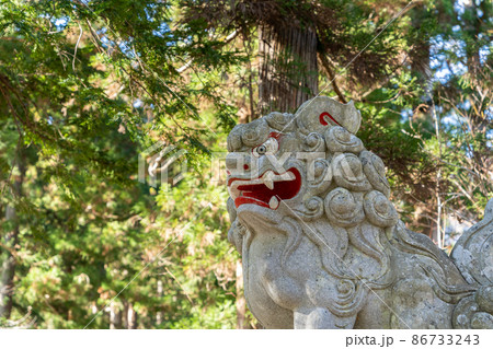 【長野県】　戸隠神社　奥社 86733243