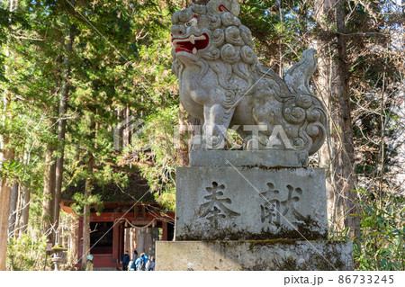 【長野県】　戸隠神社　奥社 86733245