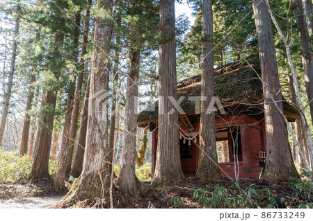 【長野県】 戸隠神社 奥社 【長野県】 戸隠神社 奥社 86733249