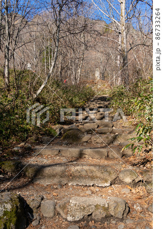 【長野県】　戸隠神社　奥社 86733264