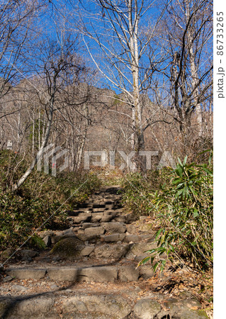 【長野県】　戸隠神社　奥社 86733265