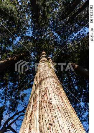 【長野県】 戸隠神社 奥社 【長野県】 戸隠神社 奥社 86733292