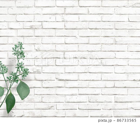 植物と白いレンガのアンティークなおしゃれ壁紙背景素材のイラスト素材