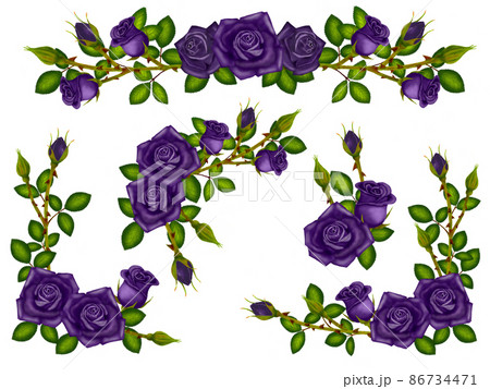 色鉛筆手描きイラスト 紫の薔薇フレーム素材のイラスト素材