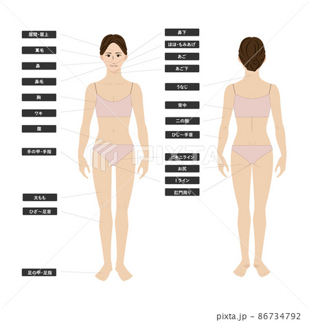 若いアジア人女性の脱毛エステの全身の箇所指示白バックのイメージイラスト図のイラスト素材