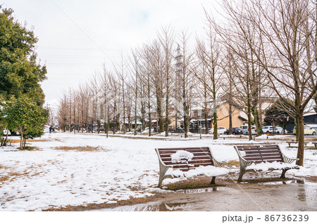 雪の学びの森プロムナード〈岐阜県各務原市〉 86736239