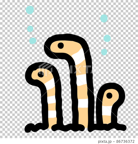 チンアナゴのイラスト チンアナゴのイラスト 86736372