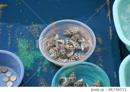 a Floating Seafood Market At Sai Kung, Hong Kong, 27 June 2004 86736551