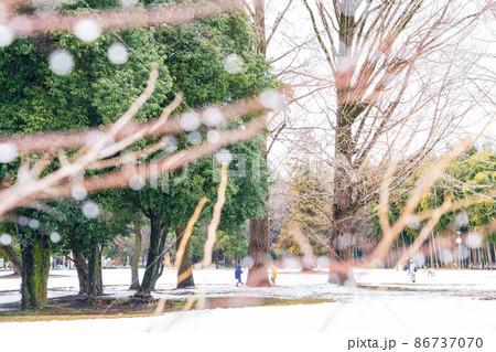 雪の学びの森〈岐阜県各務原市〉 86737070