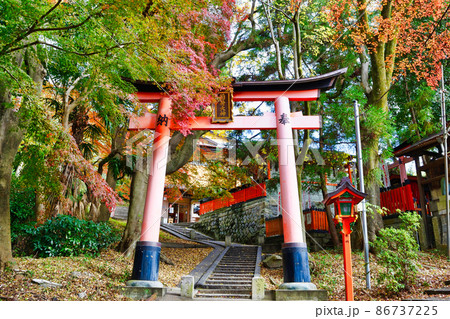 京都 伏見稲荷大社の美しい紅葉 京都 伏見稲荷大社の美しい紅葉 86737225