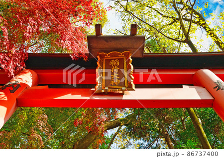 京都 伏見稲荷大社の美しい紅葉 京都 伏見稲荷大社の美しい紅葉 86737400