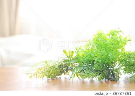 テーブルに置いたグリーン　植物 86737861
