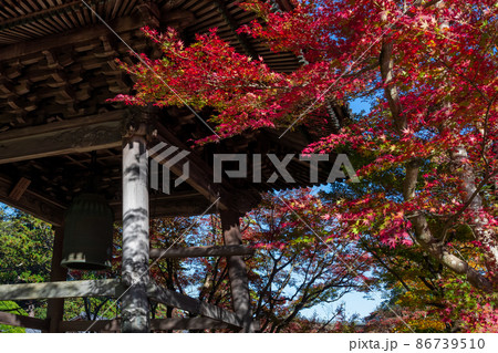 静岡県伊豆市修善寺　修禅寺の紅葉 86739510