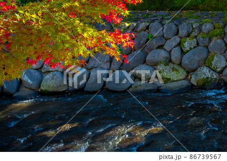 静岡県伊豆市修善寺　紅葉シーズンの修善寺温泉街 86739567