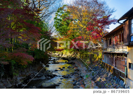 静岡県伊豆市修善寺　紅葉シーズンの修善寺温泉街 86739605