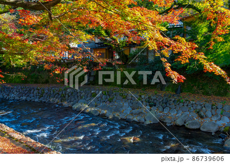 静岡県伊豆市修善寺　紅葉シーズンの修善寺温泉街 86739606