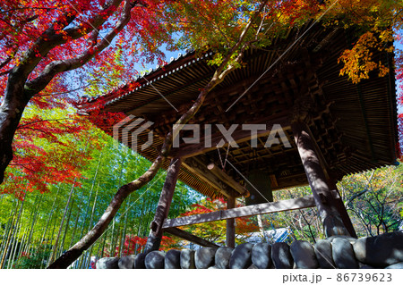 静岡県伊豆市修善寺　修禅寺の紅葉 86739623