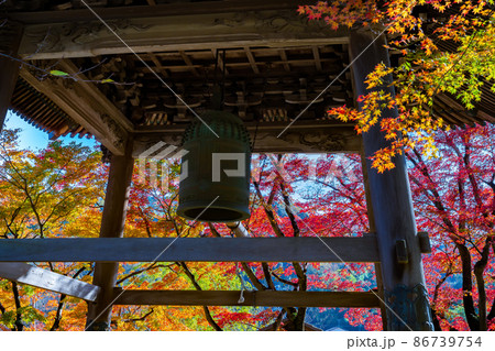 静岡県伊豆市修善寺　修禅寺の紅葉 86739754