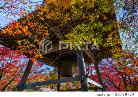 静岡県伊豆市修善寺　修禅寺の紅葉 86739774