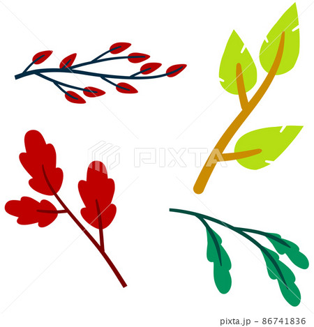 Branch with green leaves. Plant design. Set of Element of wood and nature. 86741836
