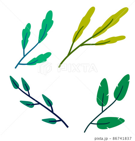 Branch with green leaves. Plant design. Branch with green leaves. Plant design. 86741837