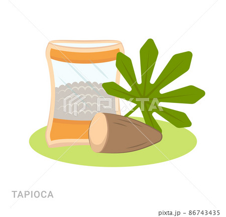 Vector illustration of tapioca. Food additive on a white background. 86743435
