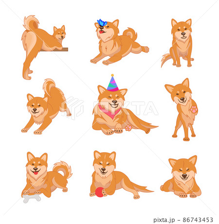 Shiba inu dog collection. Dogs with different emotions. Shiba inu dog collection. Dogs with different emotions. 86743453