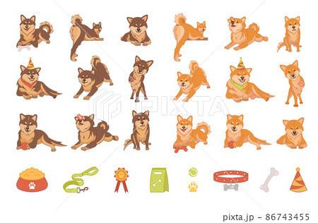 Shiba inu dog collection. Dogs with different emotions. 86743455