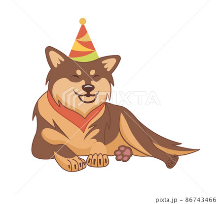 Shiba inu dog on a white background. Shiba inu dog on a white background. 86743466