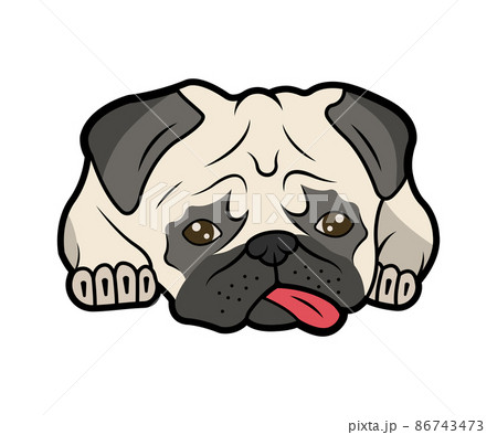 Vector illustration of pug.のイラスト素材 [86743473] - PIXTA