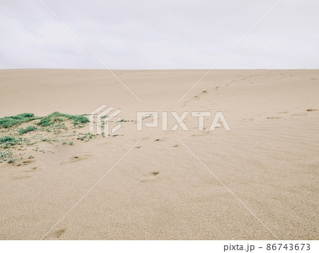 Horizon on the Tottori sand dune, Japan.  86743673