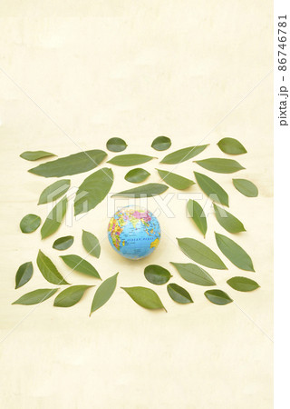樹木の葉と地球儀 樹木の葉と地球儀 86746781