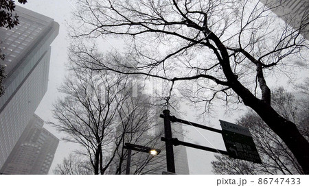 東京都庁の雪景色 東京都庁の雪景色 86747433