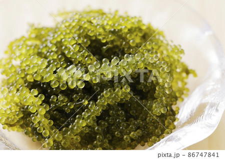 器に盛り付けた海ぶどう 86747841