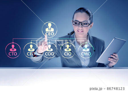 Businesswoman in the organisation chart concept Businesswoman in the organisation chart concept 86748123