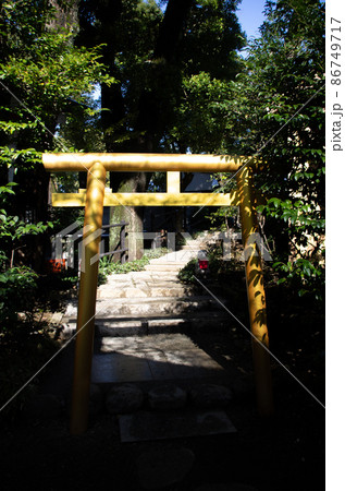 神社_鳥居_1 神社_鳥居_1 86749717