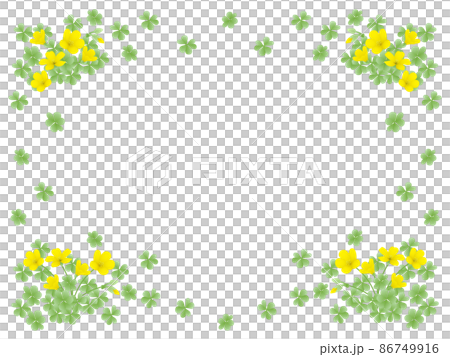 酢漿草框架 86749916