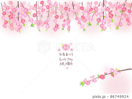 春のイラスト背景 桃の花 春のイラスト背景 桃の花 86749924